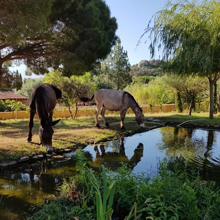 Ferme Grapi 6P Calvi