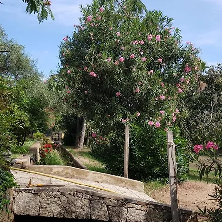 Ferme Grapi 6P Calvi